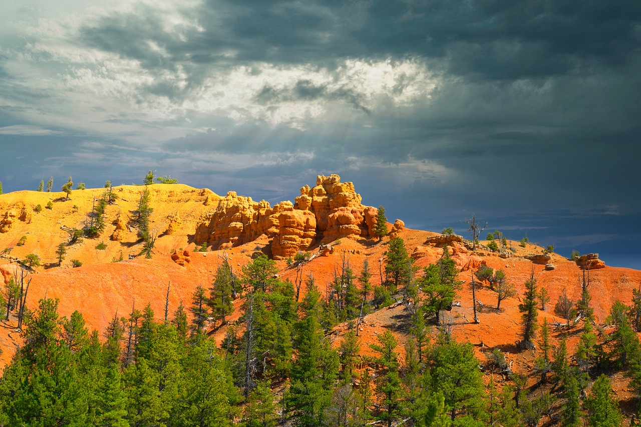 What Role Do National Parks Play in Conservation?